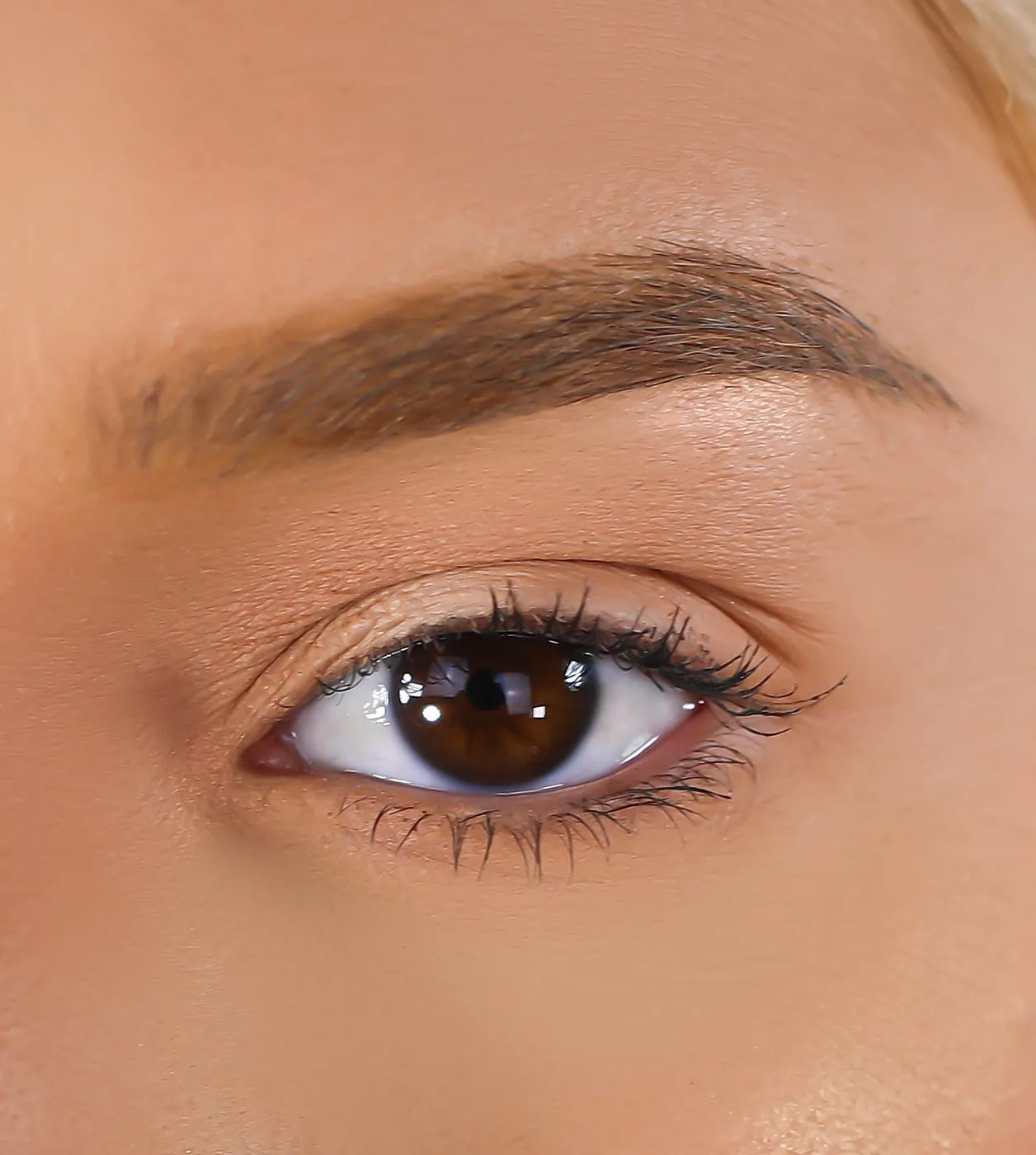 3D Mink Eyelashes - Attached