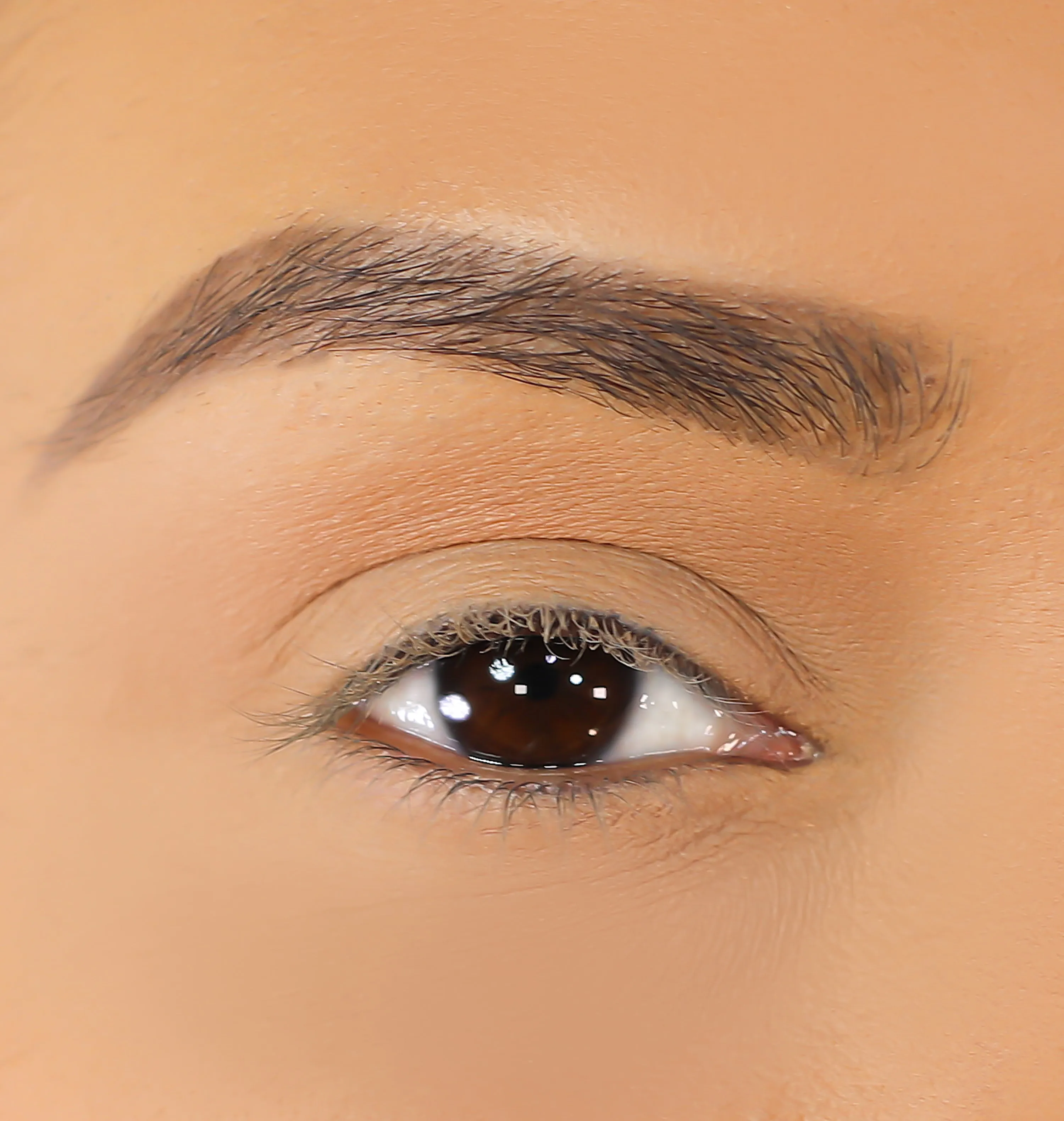 3D Mink Eyelashes - Nina