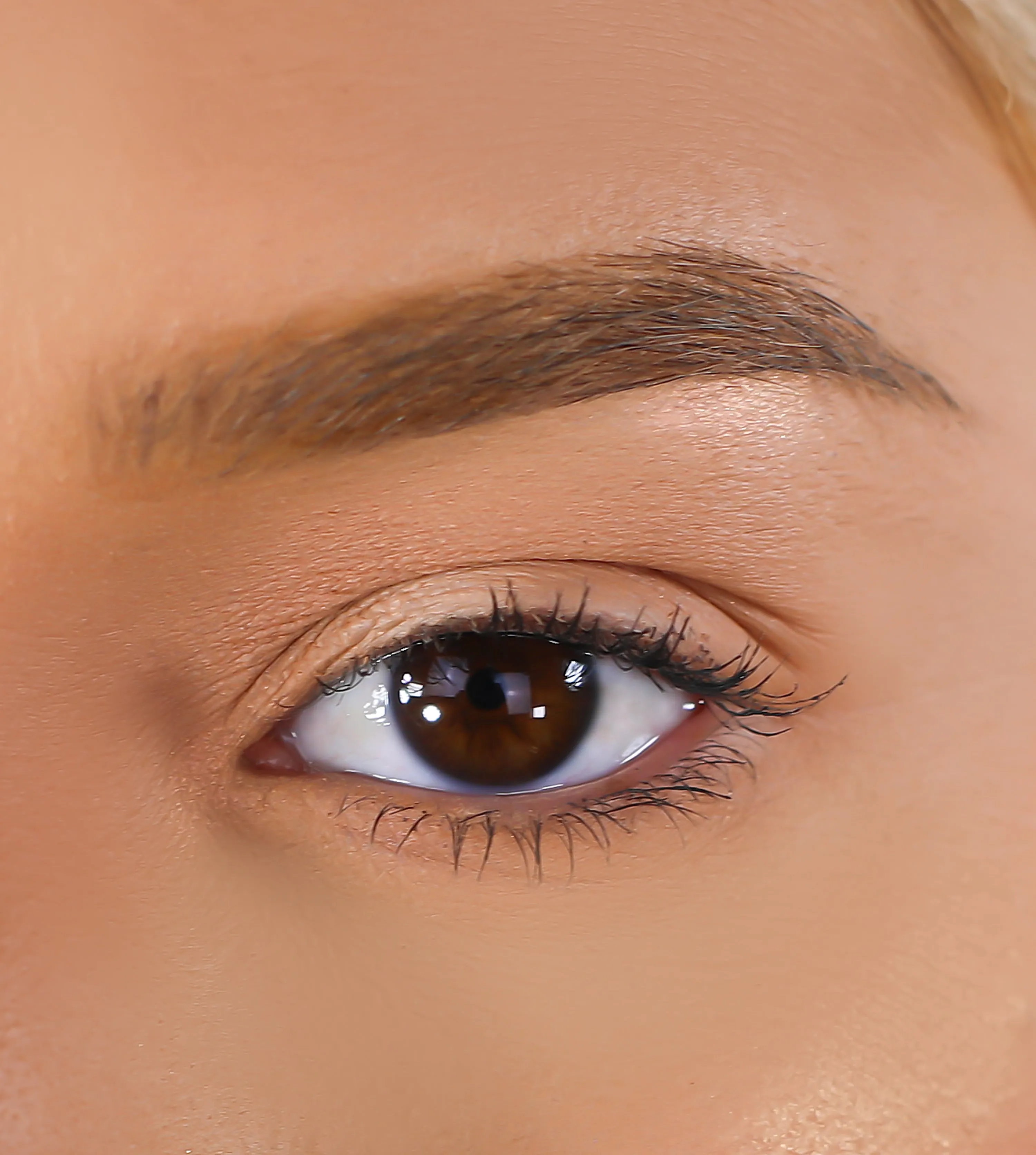 3D Mink Eyelashes - Subscribe