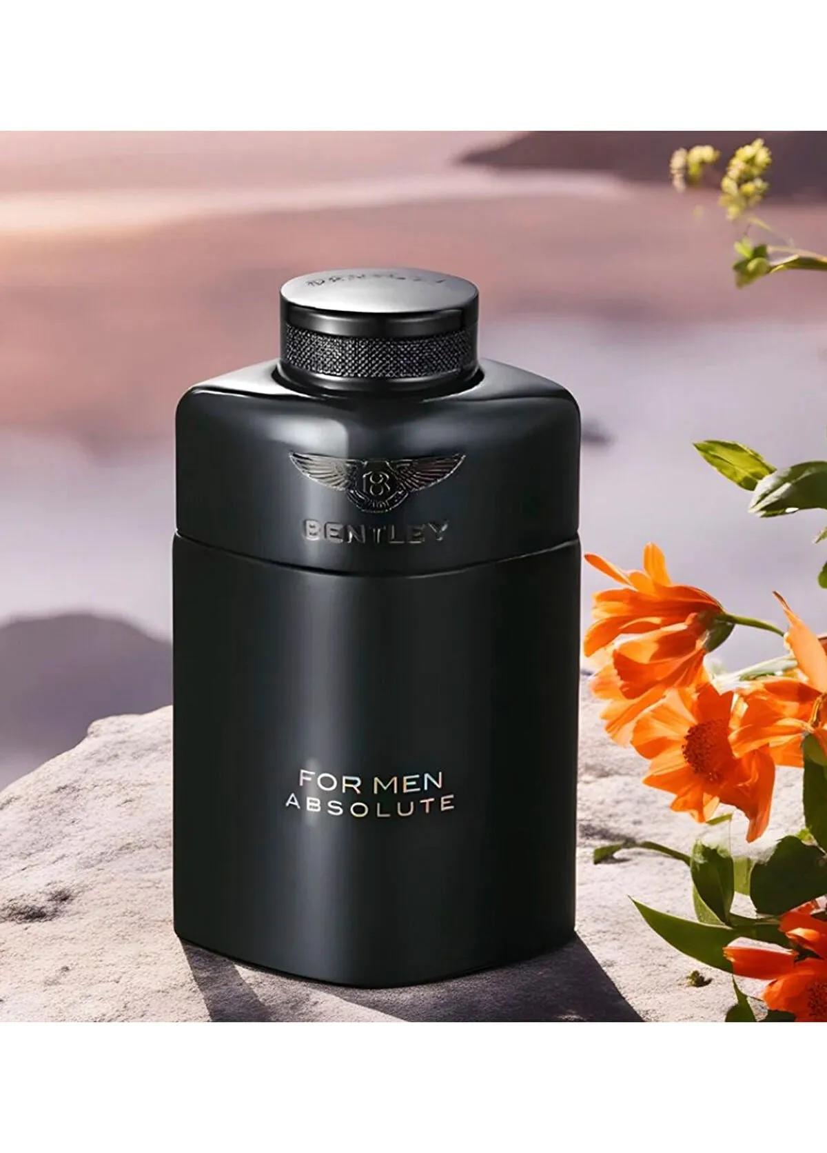 Absolute by Bentley for Men - 3.4 oz EDP Spray