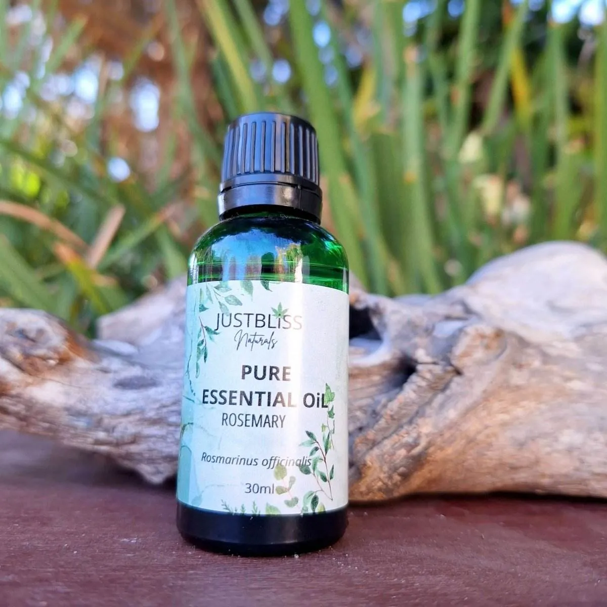 ESSENTIAL OIL: Rosemary