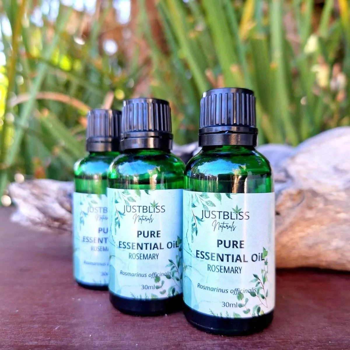 ESSENTIAL OIL: Rosemary