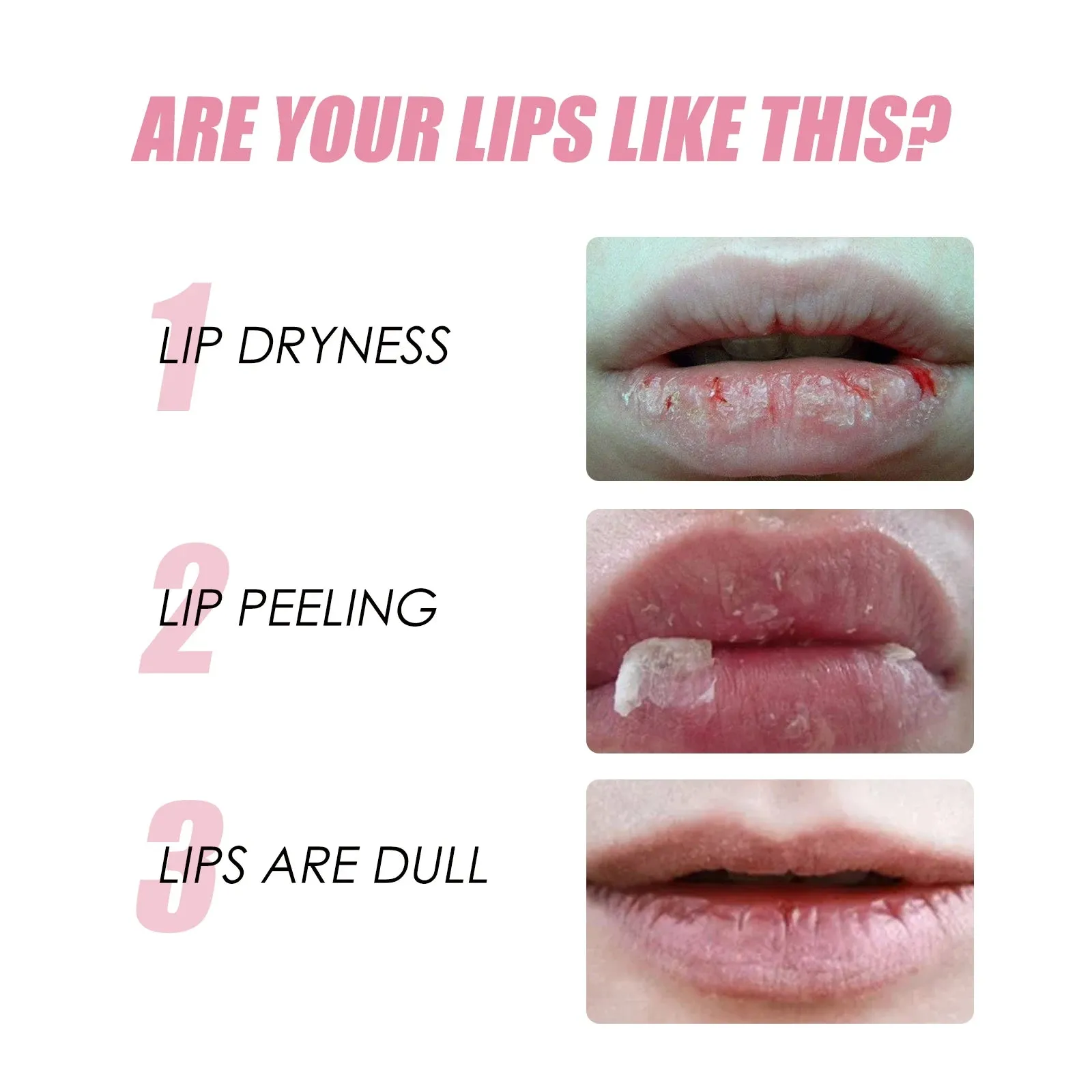 Honey Lip Oil
