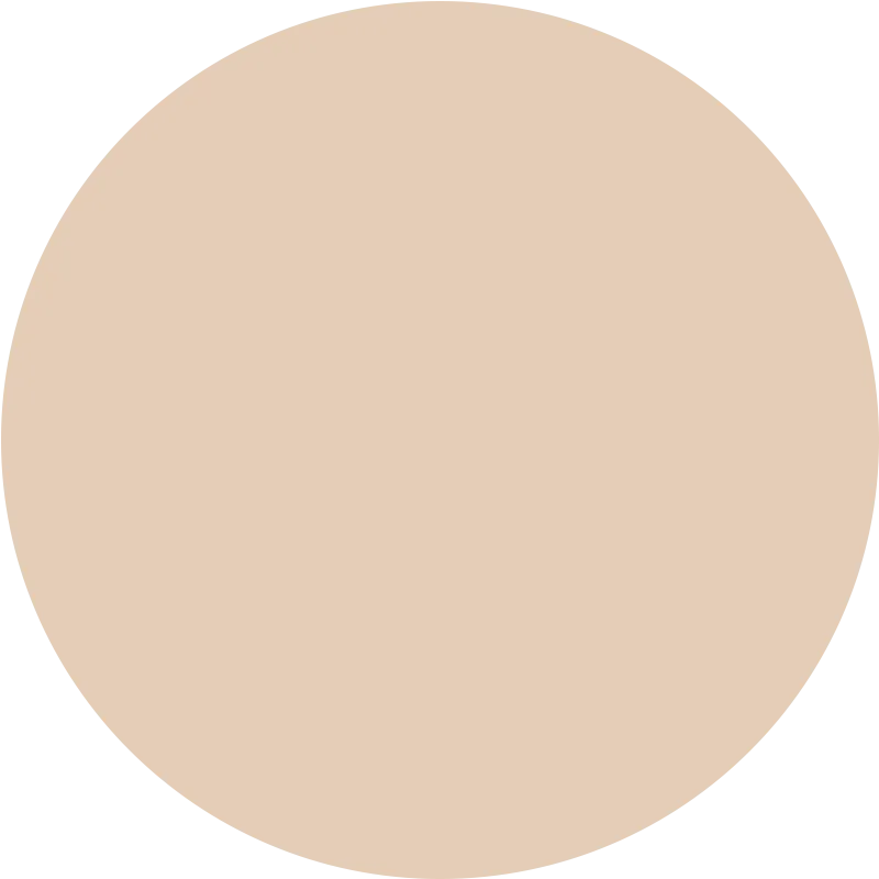 Skin Tint Serum Foundation Light