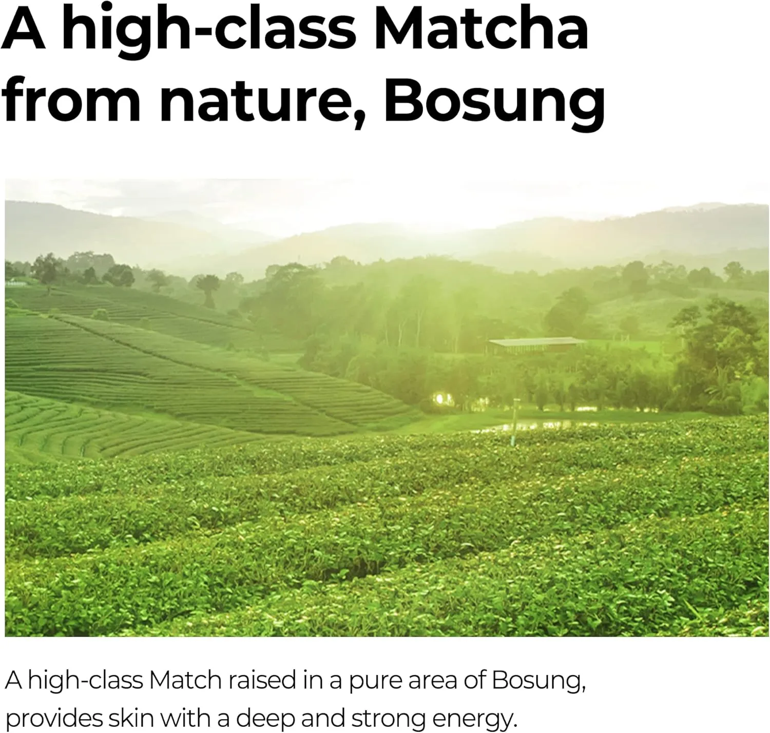 SOME BY MI Super Matcha Toner