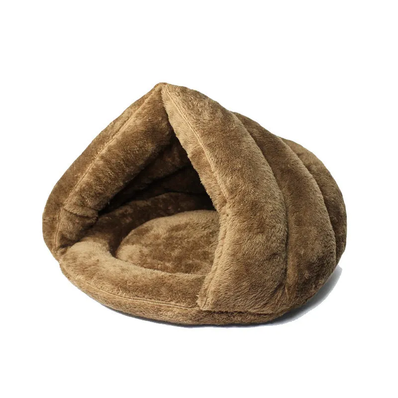 Triceratops Keep Warm In Winter